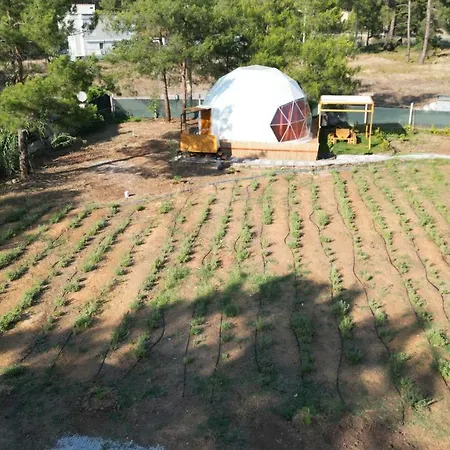 Pavlonyaguestfarm Muğla